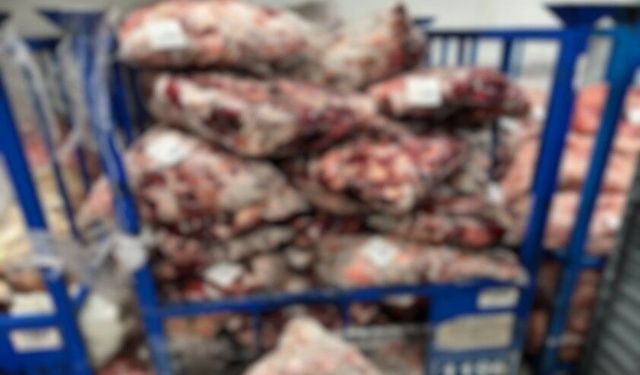 Lüleburgaz'da uygunsuz şartlarda saklanan 4 ton 600 kilo ete el konuldu