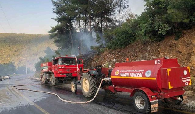 Menteşe'de orman yangını büyümeden söndürüldü
