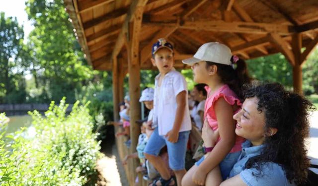 Minik kaşifler hayvanat bahçesinde