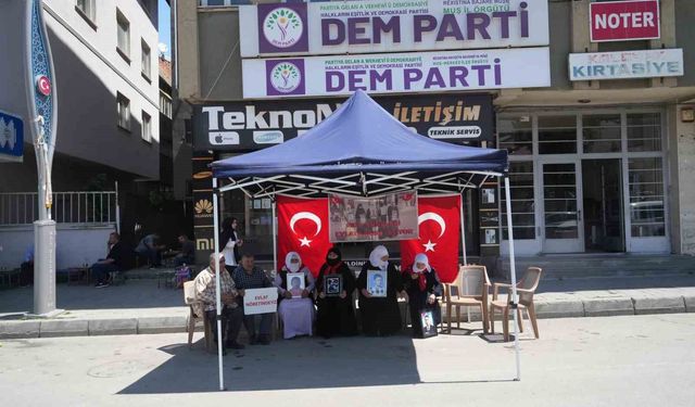 Muşlu ailelerin evlat nöbeti devam ediyor