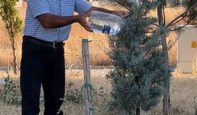 Oğlaklı Mahallesi hizmet bekliyor