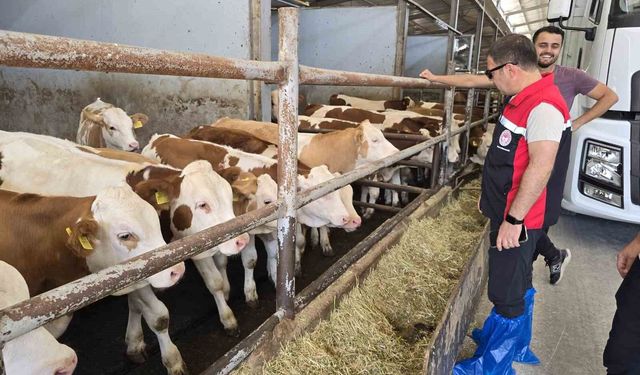 Orhaneli'de hayvan yetiştiren işletmeler kontrol edildi