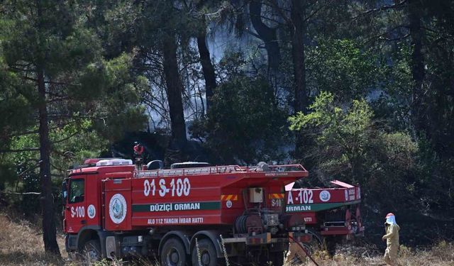 Osmaniye'de orman yangını kontrol altına alındı, soğutma çalışmaları sürüyor