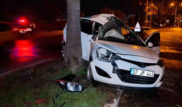 Refüjdeki palmiyeye çarpan otomobilin sürücüsü yaralandı
