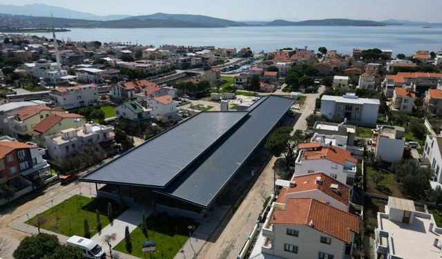 Şakran'da zeytin, deniz ve sanat buluşması