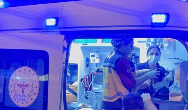 Semt pazarı yolunda kaza: İki kardeş yaralandı