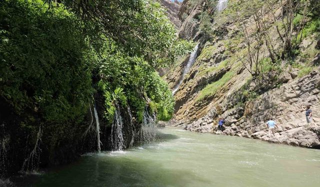 Sıcakların artmasıyla Hakkari Kaval Şelalesi'nde yoğunluk yaşanıyor