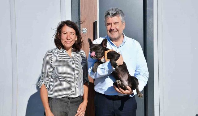 Şiddet gören köpeği Başkan Mesut Akbıyık sahiplendi