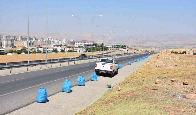 Siirt'te çevre yolunda kapsamlı temizlik mesaisi