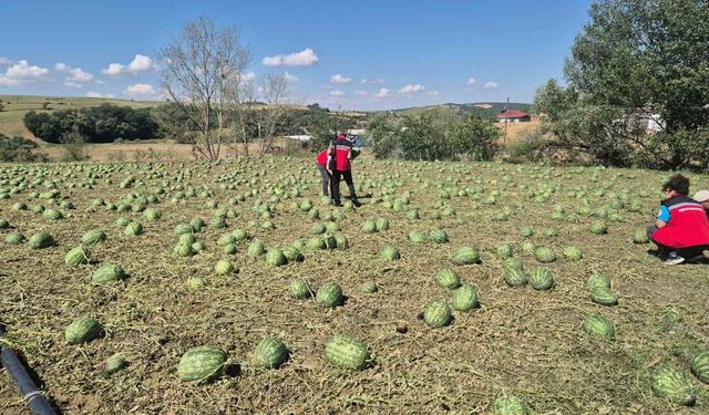 Süper hücre Tekirdağ'ı vurdu: 4 köy zarar gördü