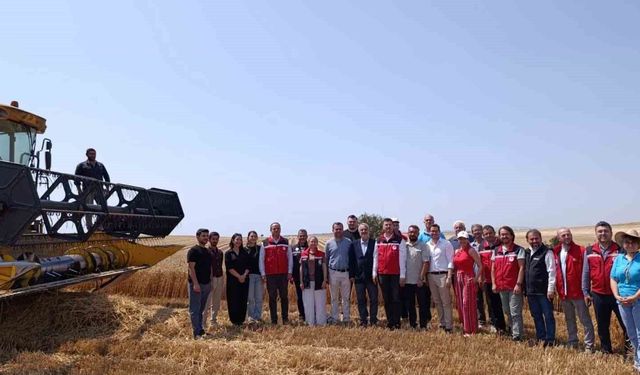Tekirdağ'da bitkisel yağ üretiminde gıda güvenliği mercek altında