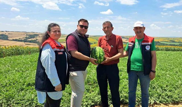 Tekirdağ'da ilk karpuz hasadı başladı