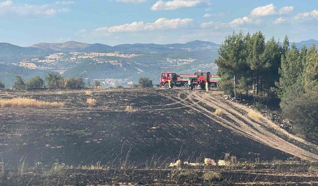 Uşak'ta ormanlık alana sıçrayan yangın söndürüldü