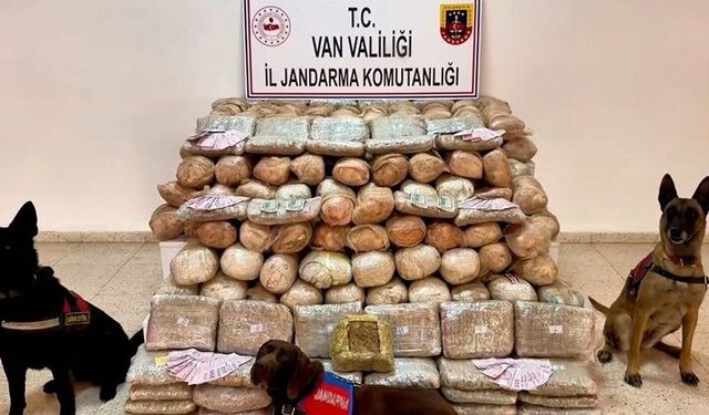 Van'da 333 kilo skunk ele geçirildi