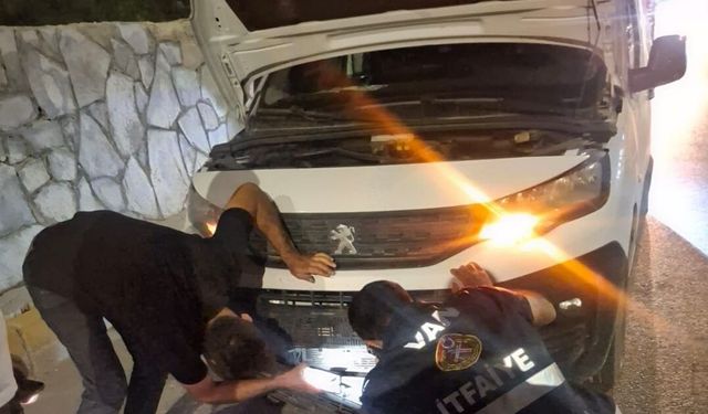 Van'da kamyonetin çarptığı köpeği kurtardı