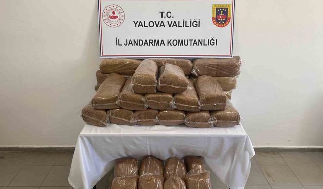 Yalova'da 160 kilo kaçak tütün ele geçirildi