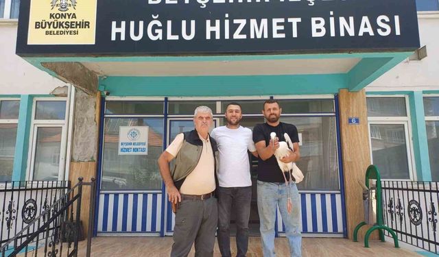 Yaralı leylek koruma altına alındı