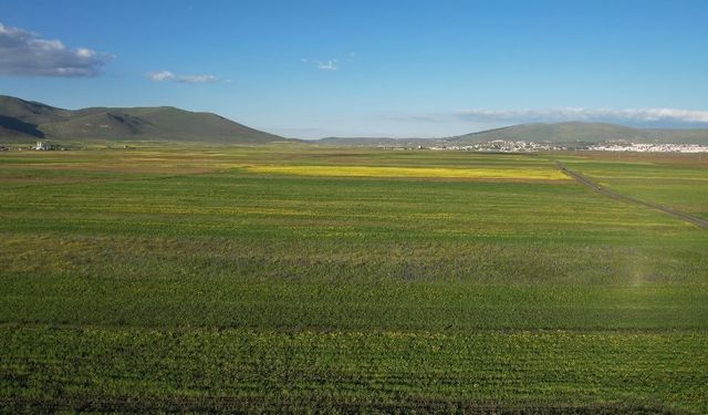 Yazın renk cümbüşüne bürünen Ardahan ovası havadan görüntülendi
