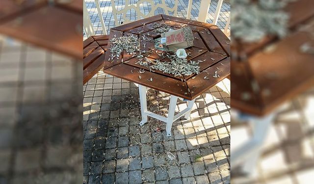 Çekerek Belediyesi'nden Parklara Sahip Çıkma Çağrısı