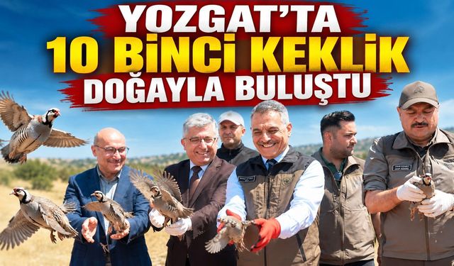 Yozgat'ta 10 Binci Keklik Doğayla Buluştu