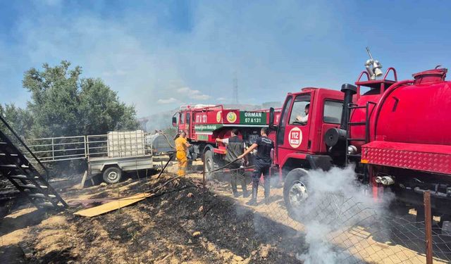 Antik kente yakın zeytinlik alanda yangında 1,25 dönüm zarar gördü