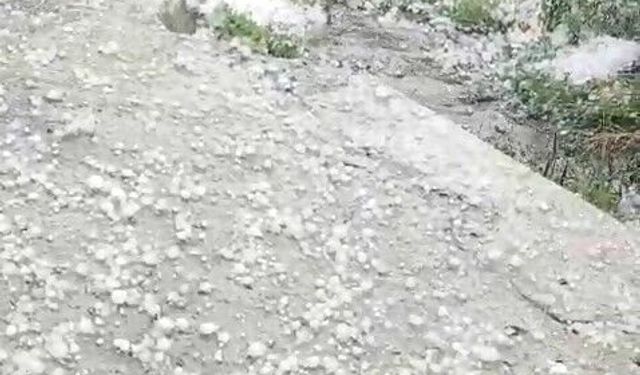 Ardahan'da dolu yağışı etkili oldu
