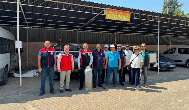 Aydın'da 535 bin sazan suyla buluştu