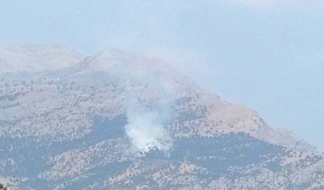 Baykan'da Kalems Dağı'nda yangın