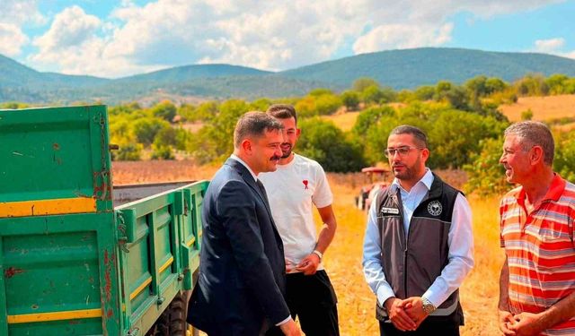 Bilecik'te ayçiçeği ekimi 3 yılda 11 bin 700 dekar arttı