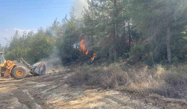 Bilecik'te orman yangını kısmen kontrol altına alındı