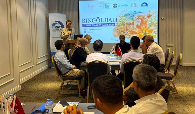 Bingöl Balı'nın katma değerli ürünlere dönüştürülmesi için yol haritası belirleniyor
