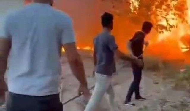 Birecik'te korkutan yangın