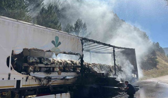 Bolu'da şeker yüklü tır alev aldı, yangın ormana sıçradı