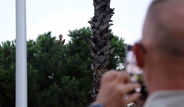 Bunalıma girip çam ağacına tırmandı, sıcaktan da bunalınca suyla ikna edildi