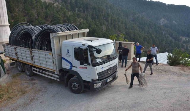 Büyükşehir Belediyesi üreticiyi desteklemeyi sürdürüyor