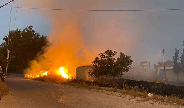 Çardak'ta yerleşime yakın boş arazide çıkan yangın korkuya neden oldu