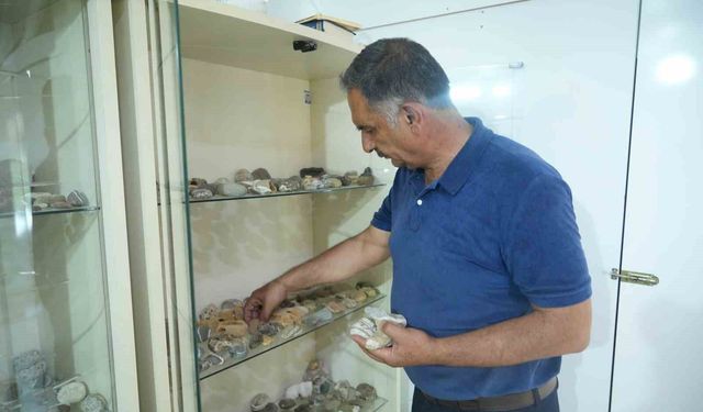 Çobanlık yaparken başlayan taş merakı 40 yıllık koleksiyona dönüştü