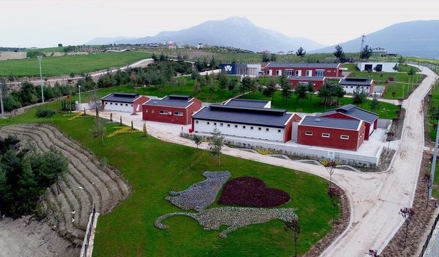 Denizli Büyükşehir Belediyesinden barınak iddialarına suç duyurusu