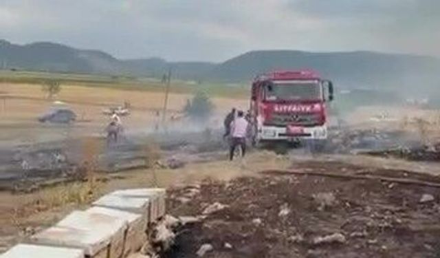 Denizli'de yangında arılar telef oldu