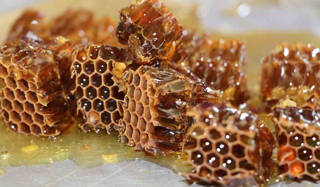 Dünyaca ünlü Anzer balında hasat tamamlandı: Kilogramı 7 bin TL olarak belirlendi