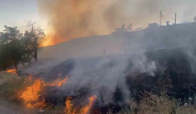 Elazığ'da otluk alanda çıkan yangın söndürüldü