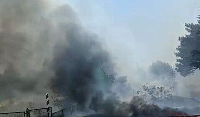 Eskişehir'de otluk alanda yangın