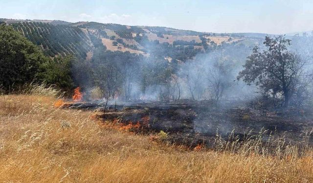 Gördes'te tarım arazisinden ormana sıçrayan yangın kontrol altında