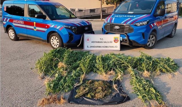 Kahta'da uyuşturucu operasyonu