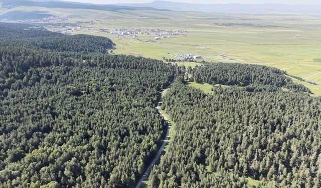 Kars'ta orman yangınlarına karşı yeni tedbirler: Kaynak, spiral ve taşlama çalışmalarına bildirim zorunluluğu