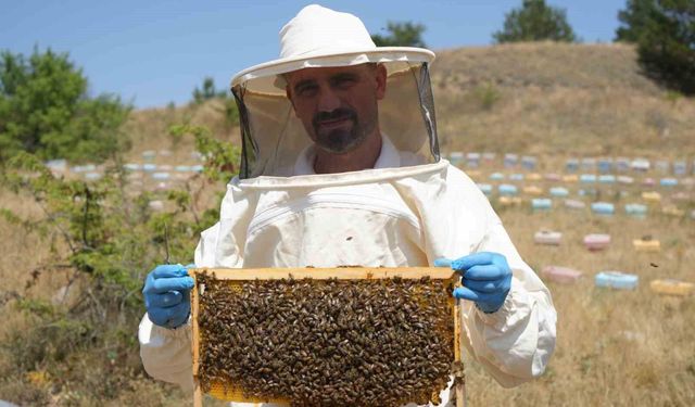 Kastamonu'da 200 tonun üzerinde çiçek balı hasat edildi: İlkbahar yağışları verimi düşürdü