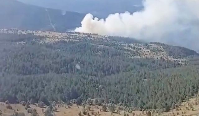 Kastamonu'da çıkan orman yangını ekiplerin hızlı müdahalesiyle söndürüldü