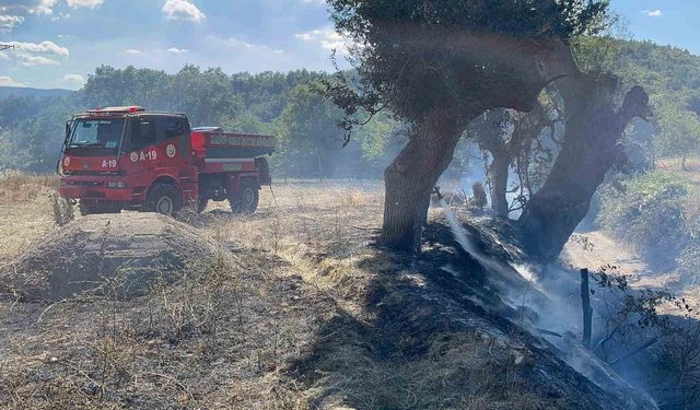 Kastamonu'da çıkan örtü yangını söndürüldü