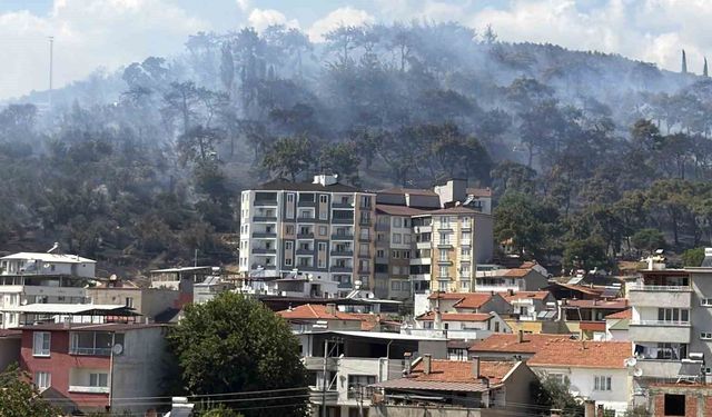 Kazdağları eteklerindeki yangına müdahale sürüyor