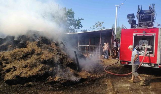 Keşan'da 1,5 saat içerisinde çıkan 5 yangın söndürüldü